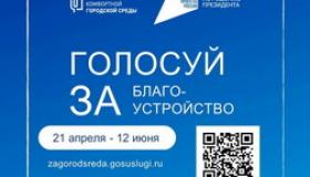 Всероссийское онлайн-голосование 